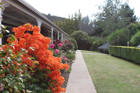 Alpine Aspects - Sunshine Coast Guide 34