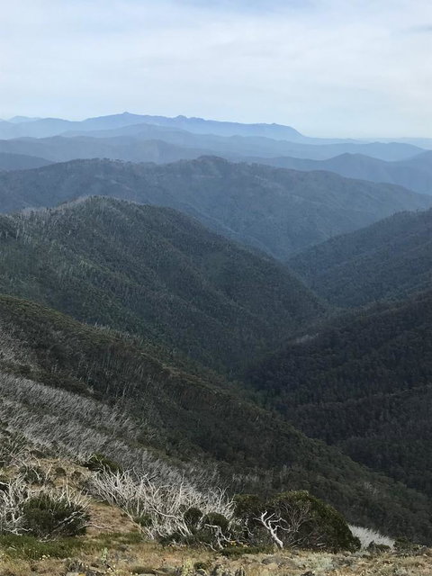Alpine Aspects - Sunshine Coast Guide 9