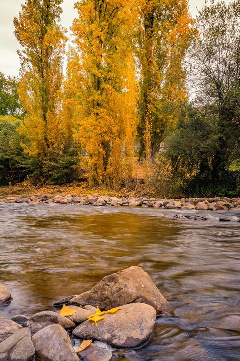 Alpine Aspects - Sunshine Coast Guide 6