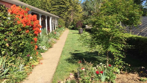 Alpine Aspects - Sunshine Coast Guide 4