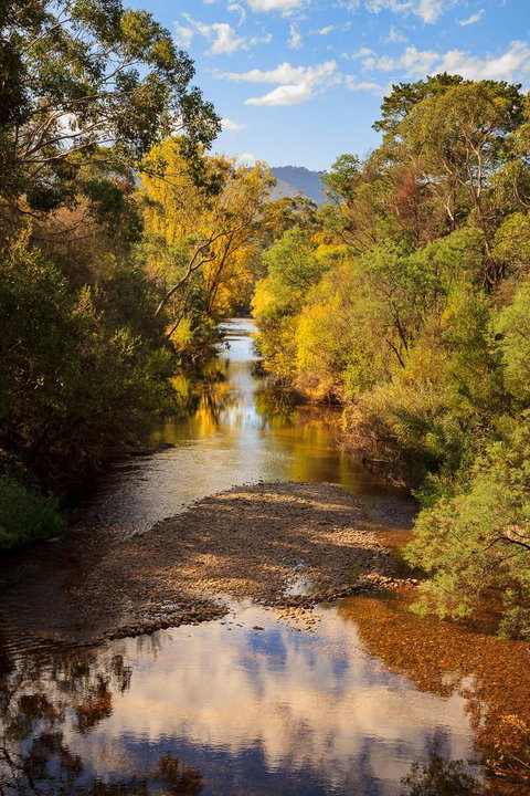 Alpine Aspects - Sunshine Coast Guide 31