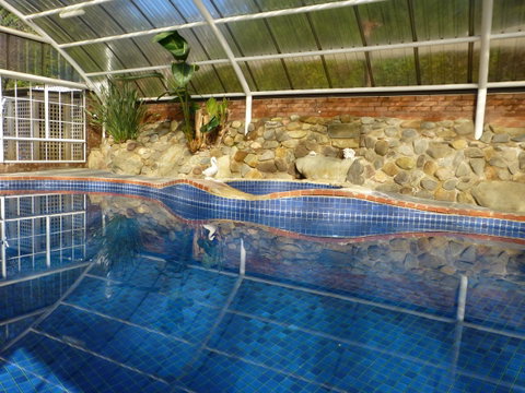 Alpine Aspects - Sunshine Coast Guide 39