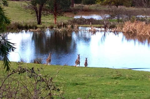 Australian Home Away @ Wonga Park Brushy Creek - Sunshine Coast Guide 17