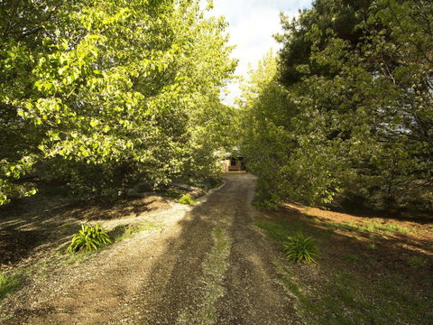 Angel's Rest - Sunshine Coast Guide 0