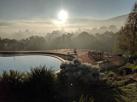 Kangaroo Manor - Sunshine Coast Guide 6