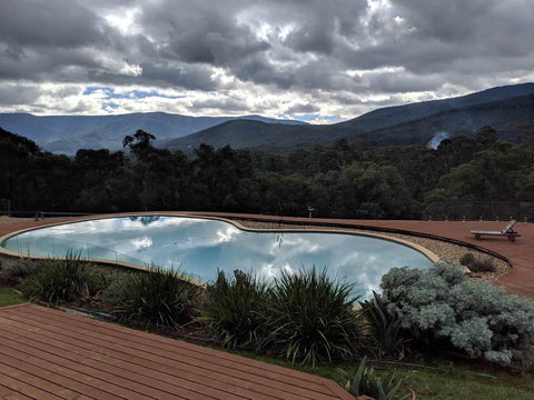 Kangaroo Manor - Sunshine Coast Guide 7