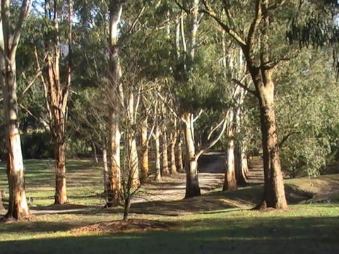 Kangaroo Manor - Sunshine Coast Guide 21