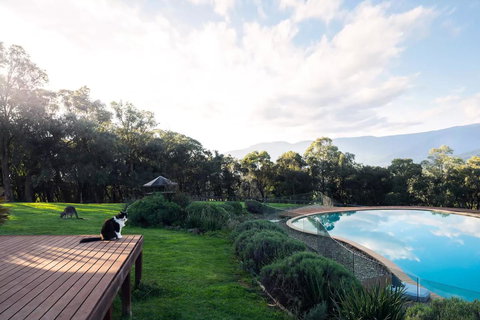 Kangaroo Manor - Sunshine Coast Guide 23