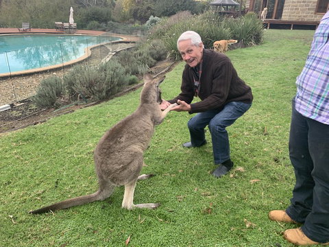 Kangaroo Manor - Sunshine Coast Guide 13