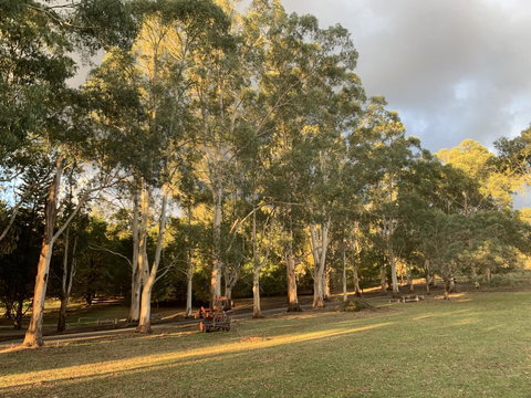 Kangaroo Manor - Sunshine Coast Guide 15