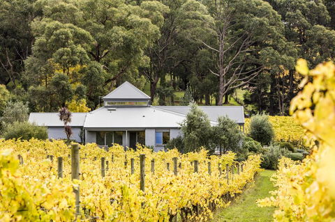 Polperro Villas - Sunshine Coast Guide 22