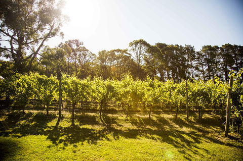 Polperro Villas - Sunshine Coast Guide 18