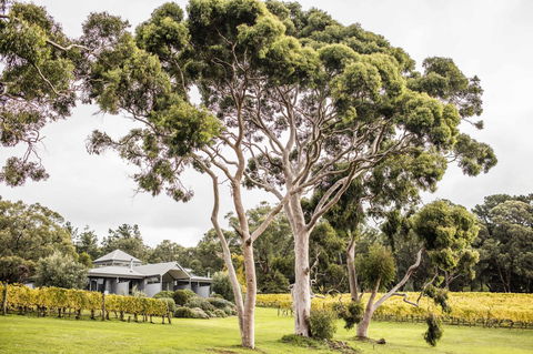 Polperro Villas - Sunshine Coast Guide 20