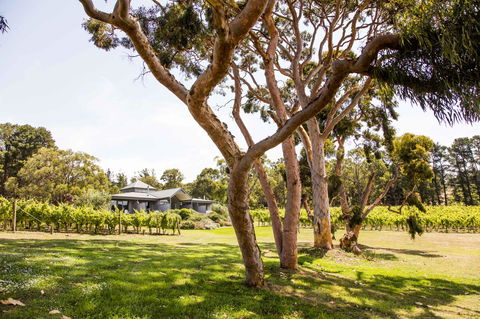 Polperro Villas - Sunshine Coast Guide 17