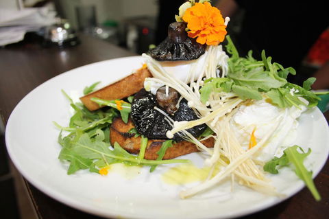 10 Hastings Street Motel - Sunshine Coast Guide 29