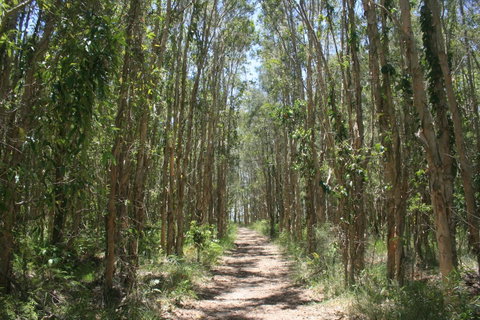 Lake Weyba Noosa Lodge & Kangaroos - Sunshine Coast Guide 39