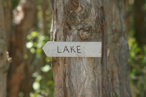 Lake Weyba Noosa Lodge & Kangaroos - Sunshine Coast Guide 36