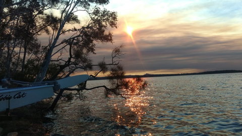Lake Weyba Noosa Lodge & Kangaroos - Sunshine Coast Guide 40