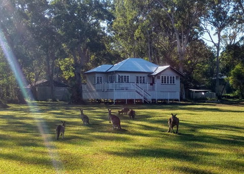 Lake Weyba Noosa Lodge & Kangaroos - Sunshine Coast Guide 0