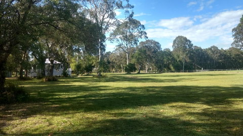 Lake Weyba Noosa Lodge & Kangaroos - Sunshine Coast Guide 32