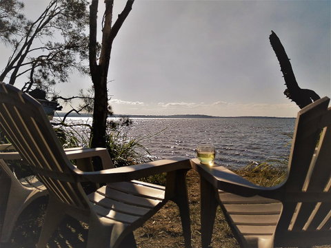 Lake Weyba Noosa Lodge & Kangaroos - Sunshine Coast Guide 3