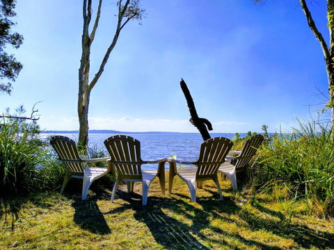 Lake Weyba Noosa Lodge & Kangaroos - Sunshine Coast Guide 44