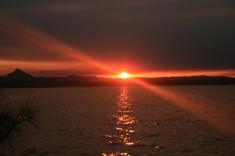 Lake Weyba Noosa Lodge & Kangaroos - Sunshine Coast Guide 41