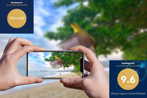 Mango Lagoon Sunbird Retreat - Sunshine Coast Guide 1
