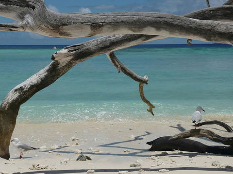 Beach Club Port Douglas Luxury Apartments - Sunshine Coast Guide 23