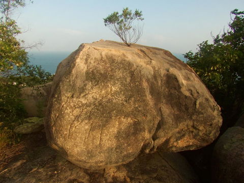 Serenity - Sunshine Coast Guide 18