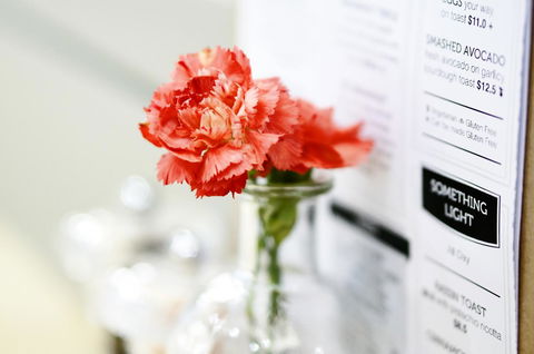 Madison Plaza Townsville - Sunshine Coast Guide 20