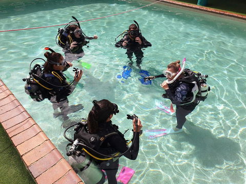 Backpackers In Paradise 18-35 Hostel - Sunshine Coast Guide 18