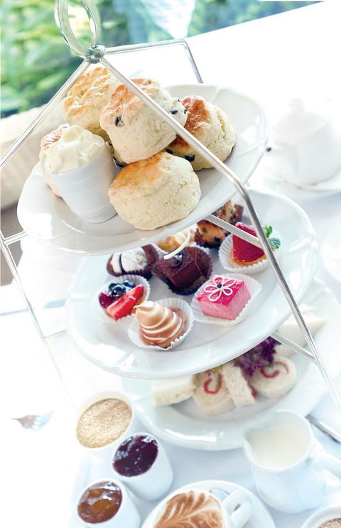 Stamford Plaza Brisbane - Sunshine Coast Guide 37