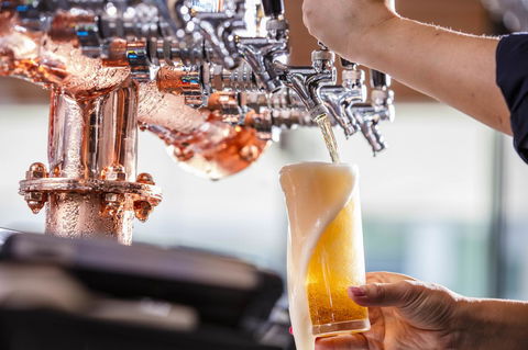 Ibis Mackay - Sunshine Coast Guide 10