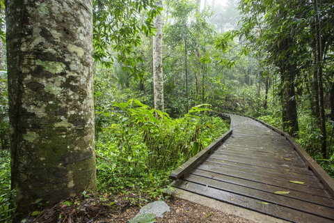 Riviera Mackay - Sunshine Coast Guide 25