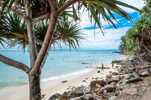 Noosa De Villa - Sunshine Coast Guide 15