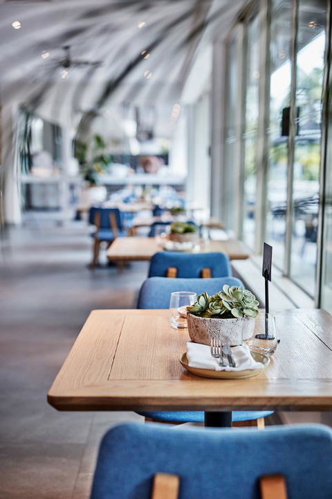 Novotel Cairns Oasis Resort - Sunshine Coast Guide 19