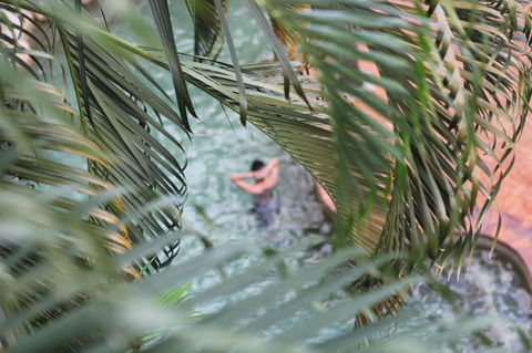 Coral Tree Inn - Sunshine Coast Guide 36