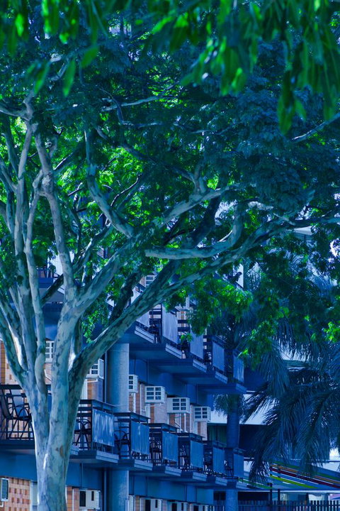 Soho Brisbane - Sunshine Coast Guide 12