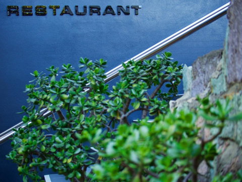 Soho Brisbane - Sunshine Coast Guide 22