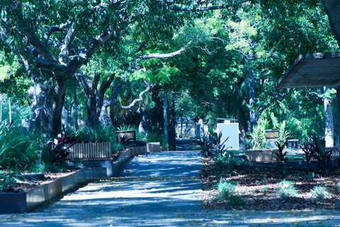 Soho Brisbane - Sunshine Coast Guide 4