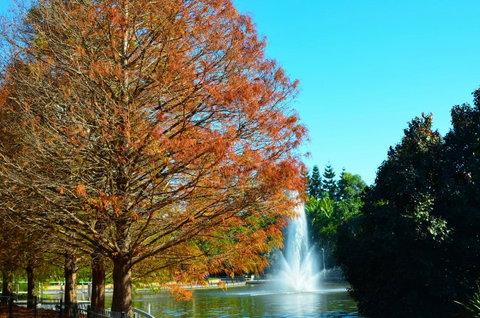 Soho Brisbane - Sunshine Coast Guide 7
