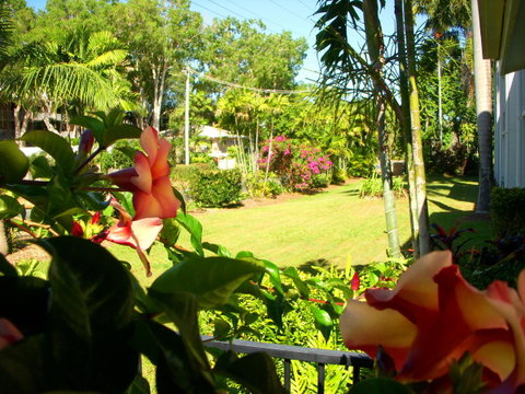 Clifton Sands Holiday Units - Sunshine Coast Guide 38