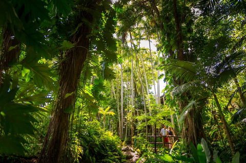 Cairns Colonial Club Resort - Sunshine Coast Guide 22