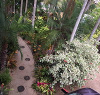 Casuarina