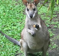 Bluewater Bed  Breakfast Cairns