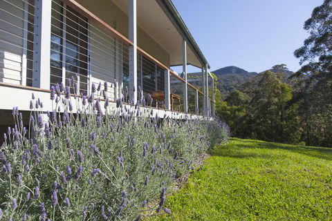 Wilderberry Cottage - Sunshine Coast Guide 3