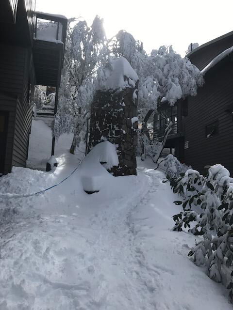Winterbrook Chalet - Sunshine Coast Guide 2