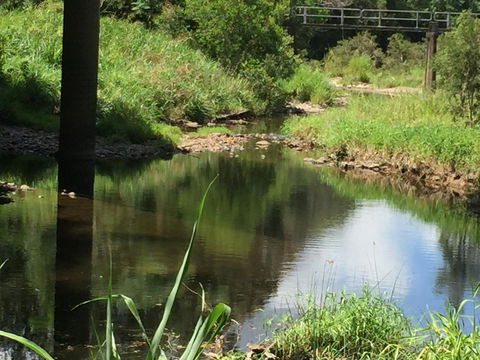 Yandina Caravan Park - Sunshine Coast Guide 2