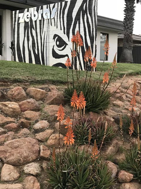 Zebras Guest House Geraldton - Sunshine Coast Guide 1